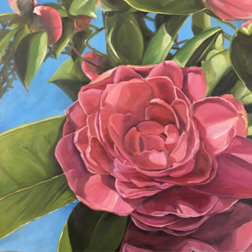 Camilia – 24x24 oil on wood panel