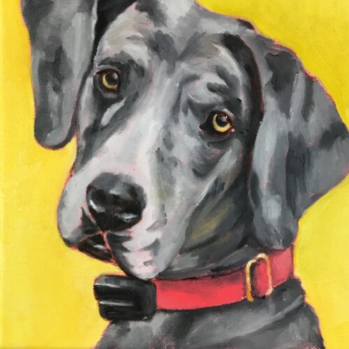 Trevor - 12 x 12 oil on canvas
