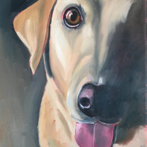 Rory - 12 x 16 oil on canvas