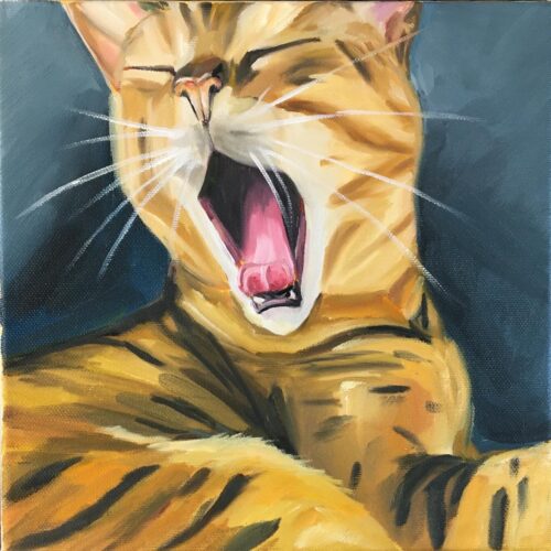 The Yawn - 12 x 12 oil on canvas