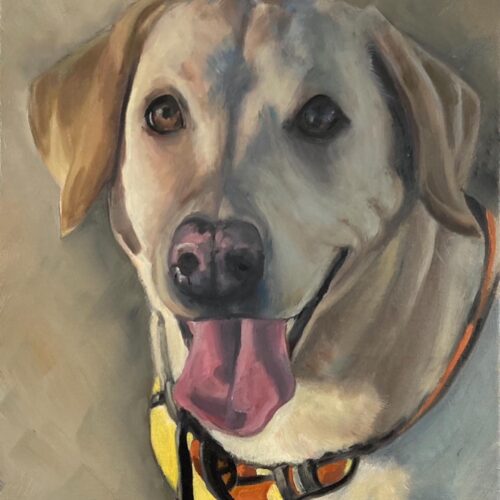Rory – 14 x 18 oil on canvas