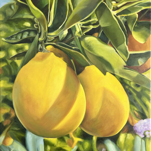 Lemons – Oil on canvas 20x24